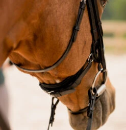 KL Select Impulsion Snaffle Bridle -Royal Horse Outfitters impulsion snaffle black crank 110302 KL select 84582.1713903927