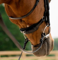 KL Select Impulsion Snaffle Bridle -Royal Horse Outfitters impulsion snaffle black crank throat 110302 KL select 74864.1713903927