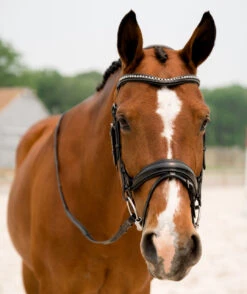 KL Select Impulsion Snaffle Bridle -Royal Horse Outfitters impulsion snaffle black front 1 110302 KL select 20817.1713903927