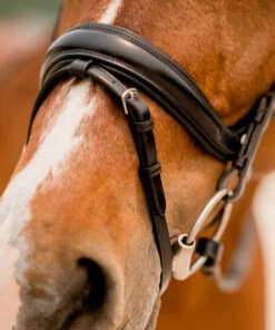 KL Select Impulsion Snaffle Bridle -Royal Horse Outfitters impulsion snaffle black noseband flash 110302 KL select 24224.1713903927