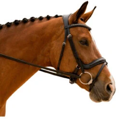 KL Select Impulsion Snaffle Bridle -Royal Horse Outfitters impulsion snaffle black side 110302 KL select 23403.1724513255