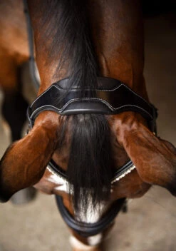 KL Select Impulsion Snaffle Bridle -Royal Horse Outfitters impulsion snaffle crown 110302 KL select 60025.1713903927