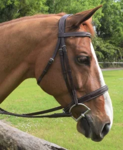 Red Barn Indio Hunter Bridle 9 Red Barn Indio Hunter Bridle -Royal Horse Outfitters indio bridle chestnut horse 512402 red barn 01685.1684372478