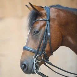 Kavalkade Ivonne Convertible Double Bridle