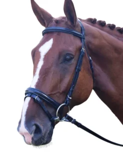 Black Oak Juniper Snaffle Bridle