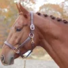 Red Barn Lainie Leather Halter -Royal Horse Outfitters kl select s red barn laine brown leather halter 1 48002 37366.1666311848