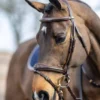 LeMieux Kudos Competition Bridle -Royal Horse Outfitters kudos competition bridle havana side2 IT02645007 lemieux 07439.1689278569