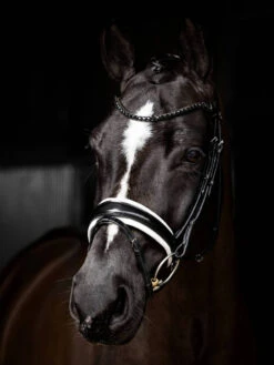 LeMieux Kudos Patent Dressage Bridle 14 LeMieux Kudos Patent Dressage Bridle -Royal Horse Outfitters kudos patent dressage bridle black white horse IT04762 lemieux 63820.1721447136