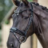 LeMieux Kudos Patent Dressage Bridle -Royal Horse Outfitters kudos patent snaffle blk blk horse IT03552 lemieux 16973.1721447135