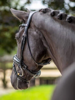 LeMieux Kudos Patent Dressage Bridle 19 LeMieux Kudos Patent Dressage Bridle -Royal Horse Outfitters kudos patent snaffle blk blk horse chin IT03552 lemieux 90054.1721447136