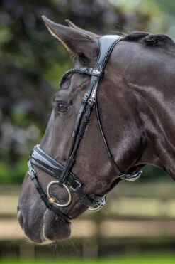 LeMieux Kudos Patent Dressage Bridle 20 LeMieux Kudos Patent Dressage Bridle -Royal Horse Outfitters kudos patent snaffle blk blk side lifestyle IT03552 lemieux 99897.1721447136