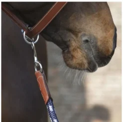 Antarès Lead Rope -Royal Horse Outfitters lead rope navy brown clip LIC2 antares 27398.1643754806