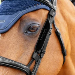 LeMieux Leather Bridle Blinkers -Royal Horse Outfitters leather blinkers black lifestyle IT06938007 lemieux 07599.1751576855