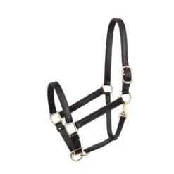 Perri's 1-Inch Leather Turnout Halter