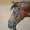 Kavalkade Levana Drop Noseband Bridle -Royal Horse Outfitters levana drop noseband bridle black kavalkade 19037 68336.1555698675