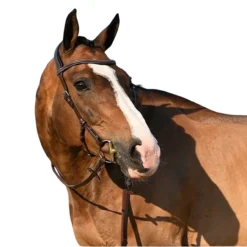 Jump'In Liberty Bridle