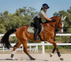 LeMieux Loire Ear Bonnet SS24 12 LeMieux Loire Ear Bonnet SS24 -Royal Horse Outfitters loire cc pad ss24 fern horse IT04096 lemieux 11293.1712844886