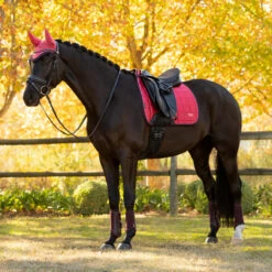 LeMieux Loire Classic Dressage Square Pad AW25 -Royal Horse Outfitters loire drsg classic pad au25 cranberry lifestyle IT007098 lemieux 01394.1755643099