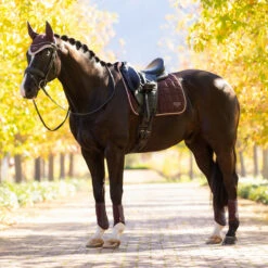 LeMieux Loire Classic Dressage Square Pad AW25 -Royal Horse Outfitters loire drsg classic pad au25 damson lifestyle IT007099 lemieux 20117.1755643099