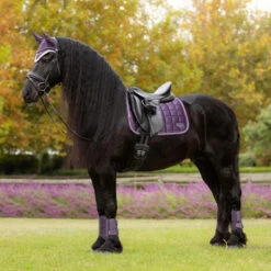 LeMieux Loire Classic Dressage Square Pad AW25 -Royal Horse Outfitters loire drsg classic pad au25 juniper lifestyle IT007097 lemieux 43009.1755643099