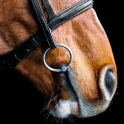 Fager Madeleine Titanium Jointed Loose Ring Bradoon 9 Fager Madeleine Titanium Jointed Loose Ring Bradoon -Royal Horse Outfitters madeleine titanium single joint bradoon horse fager 91453.1621118777