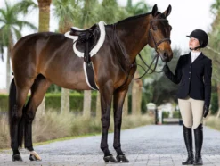 LeMieux Merino+ ProSorb Hunter Saddle Pad 7 LeMieux Merino+ ProSorb Hunter Saddle Pad -Royal Horse Outfitters merino ps hunter shim white lifestyle IT04862 lemieux 20197.1720897143