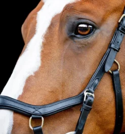 Horseware Ireland Horseware Micklem 2 Competition Bridle -Royal Horse Outfitters micklem2 competition bridle black cheeckpiece SBMOM2 K000 SC horseware ireland 98680.1689872525