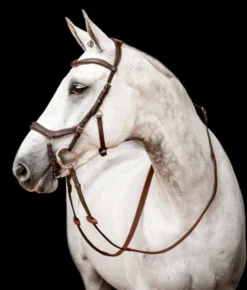 Horseware Ireland Horseware Micklem 2 Competition Bridle