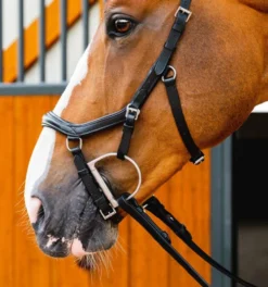 Horseware Ireland Horseware Micklem 2 Deluxe Competition Bridle -Royal Horse Outfitters micklem2 dlx competition black cheekpieceSBMUM2 K000 SC horseware ireland 23067.1689873947