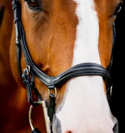 Horseware Ireland Horseware Micklem 2 Deluxe Competition Bridle -Royal Horse Outfitters micklem2 dlx competition black noseband SBMUM2 K000 SC horseware ireland 23455.1689873907