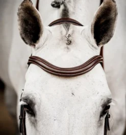 Horseware Ireland Horseware Micklem 2 Deluxe Competition Bridle -Royal Horse Outfitters micklem2 dlx competition havana browband SBMUM2 NAB0 SC horseware ireland 79266.1689874481