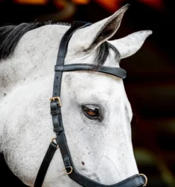 Horseware Ireland Horseware Micklem 2 Multi Bridle 18 Horseware Ireland Horseware Micklem 2 Multi Bridle -Royal Horse Outfitters micklem2 multibridle black cheekpiece SBMXM1 K000 LC HW 96136.1689871555