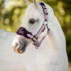 Mini LeMieux Vogue Halter & Lead Rope 2 Mini LeMieux Vogue Halter & Lead Rope -Royal Horse Outfitters mini vogue headcollar fig pony lemieux 06965.1689972067