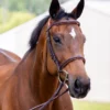 Vespucci New Fancy Raised Hunter Bridle 1 Vespucci New Fancy Raised Hunter Bridle -Royal Horse Outfitters new fancy hunter bridle oakbark front 810434N vespucci 36129.1712845186