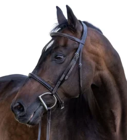 Vespucci New Plain Raised Hunter Bridle