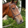 Nunn Finer Newmarket Shank Lead -Royal Horse Outfitters newmarket shank havana bay horse nunn finer 70404.1587245498