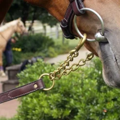 Nunn Finer Newmarket Shank Lead -Royal Horse Outfitters newmarket shank havana brass detail nunn finer 43439.1587245493