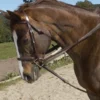 Ovation Stretch Cord Draw Reins 2 Ovation Stretch Cord Draw Reins -Royal Horse Outfitters ovation stretch cord draw reins 2 73056 95347.1527291793