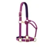 Weaver Leather Weaver Padded Adjustable Halter 1 Weaver Leather Weaver Padded Adjustable Halter -Royal Horse Outfitters padded adjustable halter dahlia purple 35 778 weaver 46897.1606080010