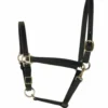Perri's 3/4-Inch Leather Turnout Halter -Royal Horse Outfitters perri s 3 4 inch leather turnout halter 1 92560 01541.1527297524