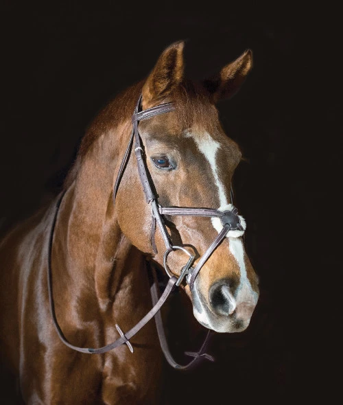 Pessoa PRO Fancy Stitched Figure-8 Bridle 4 Pessoa PRO Fancy Stitched Figure-8 Bridle - Image 2