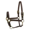 Perri's Premium Nylon Safety Halter -Royal Horse Outfitters premium nylon safety halter black 150HBL perris 43207.1684804357