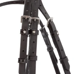 Kavalkade Reyna Snaffle Bridle 12 Kavalkade Reyna Snaffle Bridle -Royal Horse Outfitters reyna snaffle bridle black cheekpiece buckle 19044 kavalkade 17146.1733935403