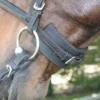 RideWell Chin & Crown Guard -Royal Horse Outfitters ridewell chin crown guard 1 19195 26656.1712845845