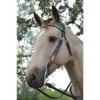 Circle Y Rising Sunflower Brow Headstall -Royal Horse Outfitters rising sunflower brow hs brown multicolor lifestyle 1002 10 SC circle y 38157.1613178603