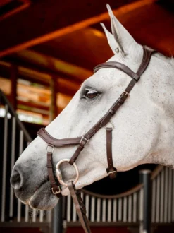 Horseware Ireland Horseware Micklem 2 Competition Bridle -Royal Horse Outfitters sbmom0 nab0 horseware micklem 2 competition bridle 4 37008.1689872573