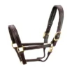 Walsh Signature Pony Halter -Royal Horse Outfitters signature halter havana brown brass walsh 17538.1557953983