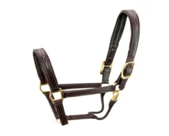 Walsh Signature Pony Halter