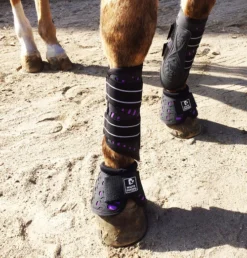 Majyk Equipe Sport/Dressage Boots -Royal Horse Outfitters sportdressagepurple 83089 87931.1527295834