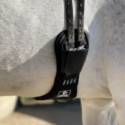 Majyk Equipe Ergonomics Spur Saver Dressage Girth -Royal Horse Outfitters spursafe biofoam girth black lifestyle ERG030 24 majyk 08822.1743001960